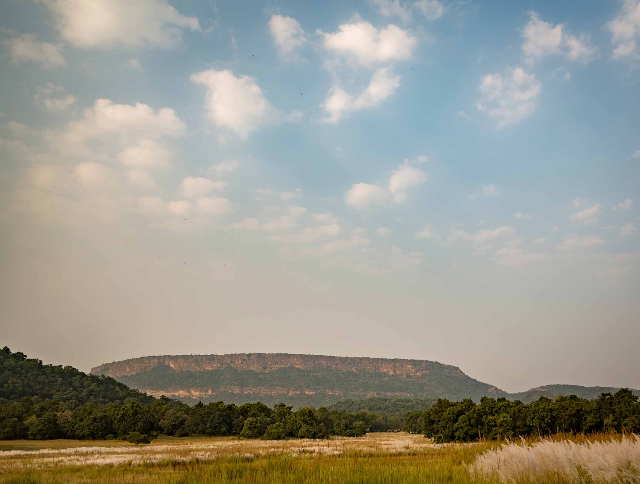 Zones in Bandhavgarh National Park